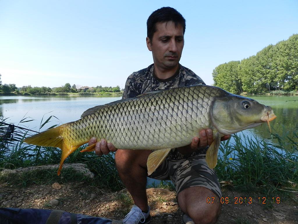 7-8  septembrie20013 - dscn1695.JPG